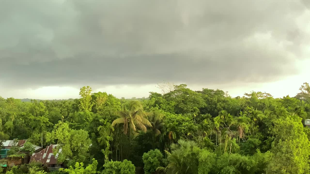 Storm clouds approaching over tropical forest canopy in Bangladesh
