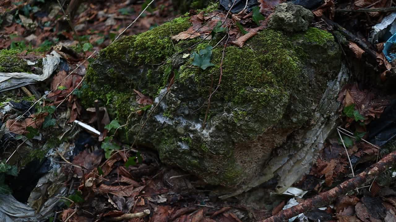 basura vieja en rocas cubiertas de musgo contamina el medio ambiente, primer plano