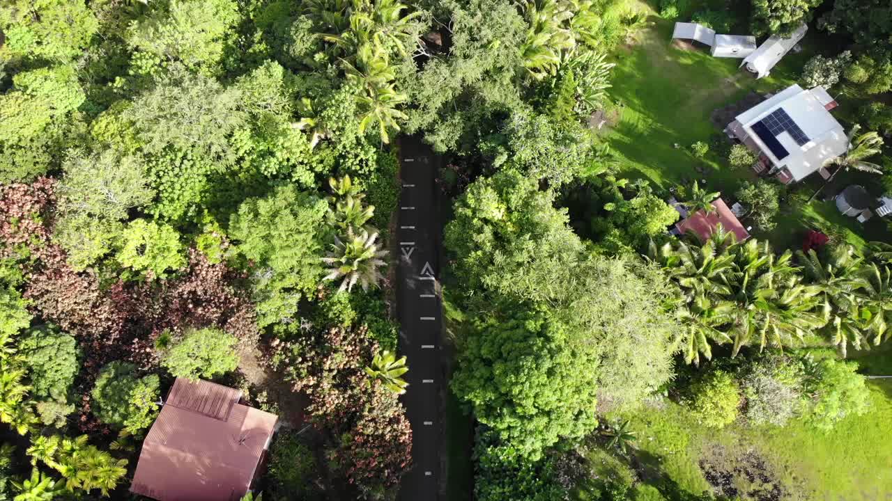 casas fuera de la red cerca de una carretera de la jungla en el sureste de la isla de hawai