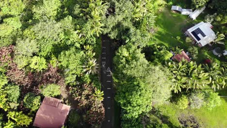 off grid homes near a jungle road in south east hawaii island