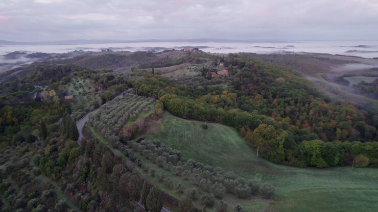 Alba nebbiosa sulla villa di Asciano