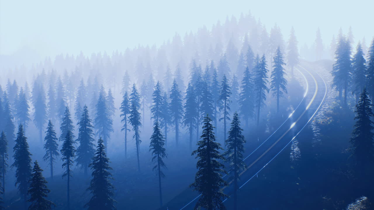 Misty forest landscape with train tracks fading into the distance at dawn