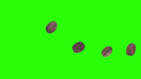animación realista de granos de café elemento gráfico en pantalla verde tecla de croma
