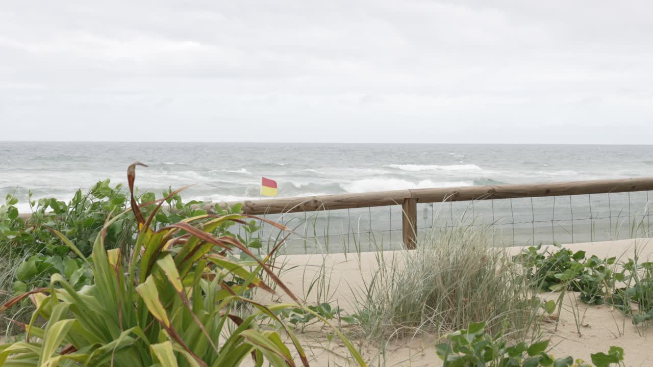 은 발과 노란 발이 있는 구명병들이 순찰하는 지역 - 골드코스트, 오스트레일리아