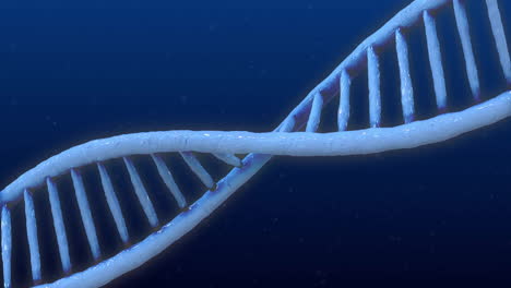 animación de la cadena de adn girando sobre un fondo azul