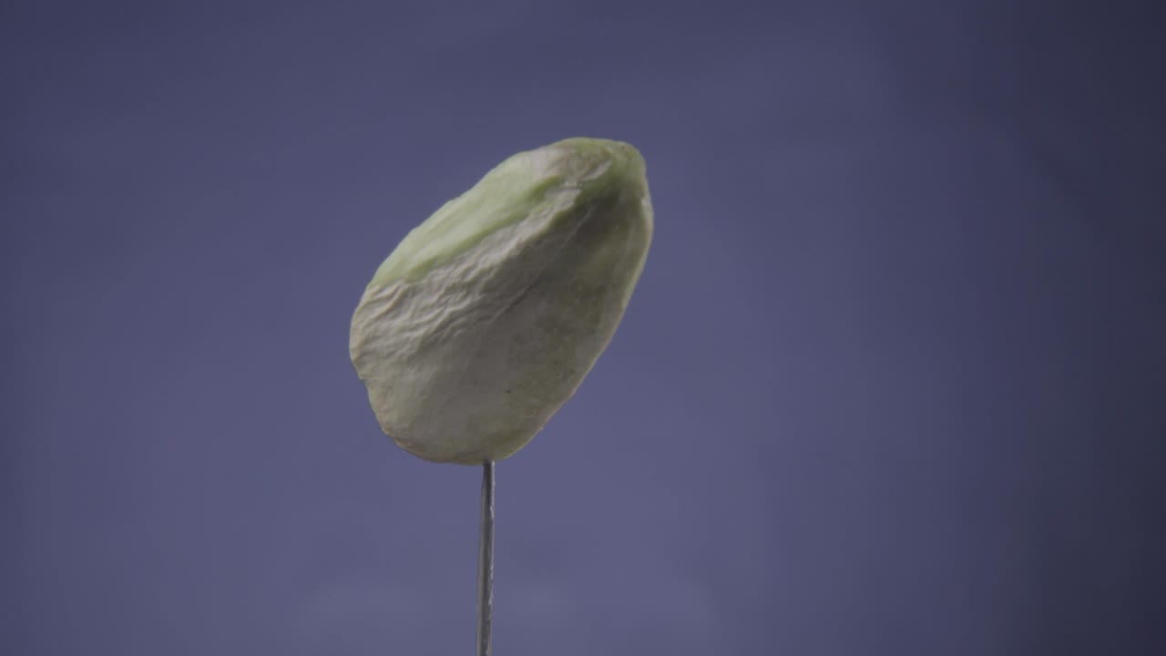 pistacho girando con bucle en la pantalla azul para la llave de croma