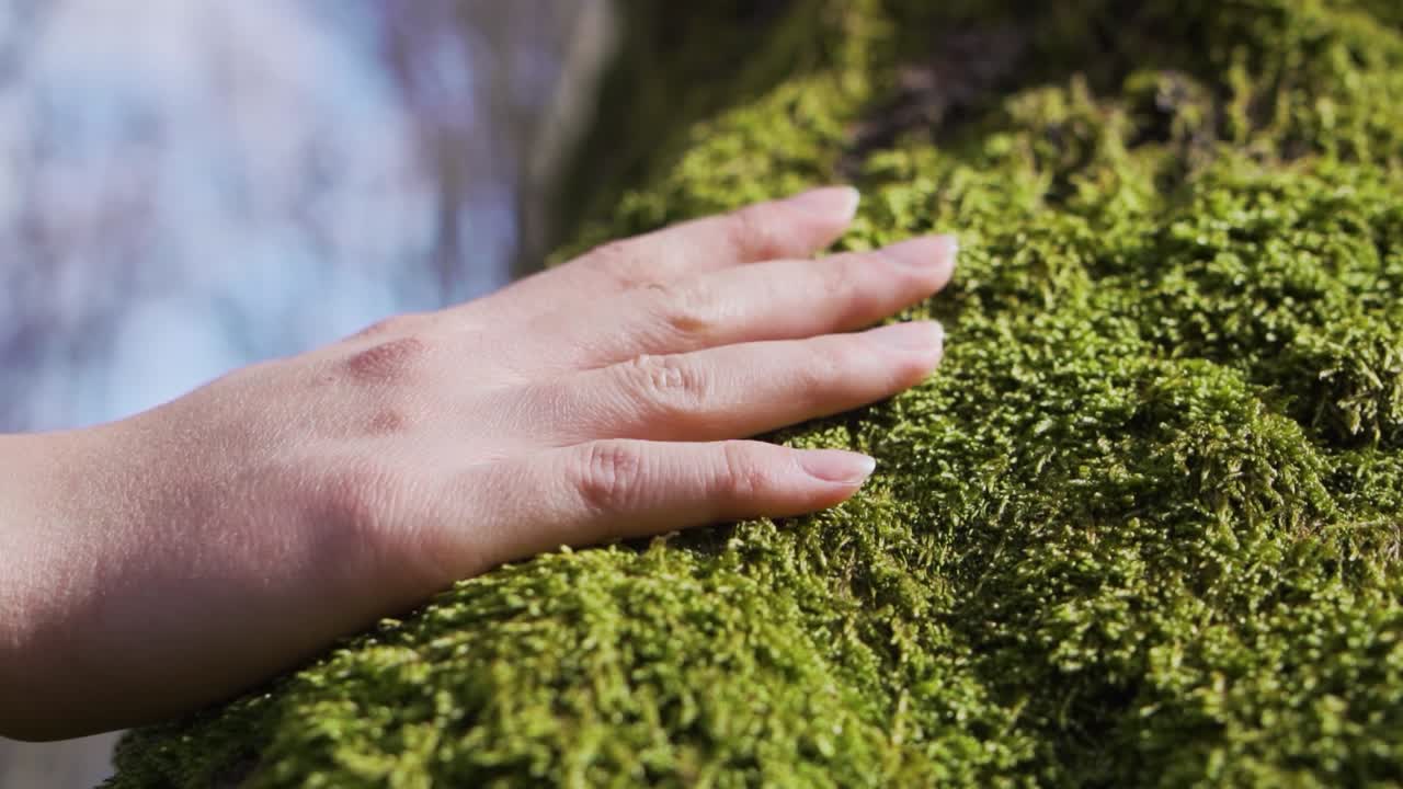 A human hand rests on moss growing in a peaceful forest. The shot illustrates a quiet moment of connection between person and planet, ideal for topics like rewilding, mindfulness