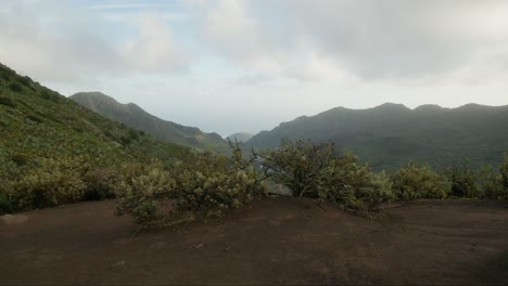 Slow-camera-reveal-of-lush-vegetation-and-mountains-of-north-Tenerife,-Canary-Islands-in-spring