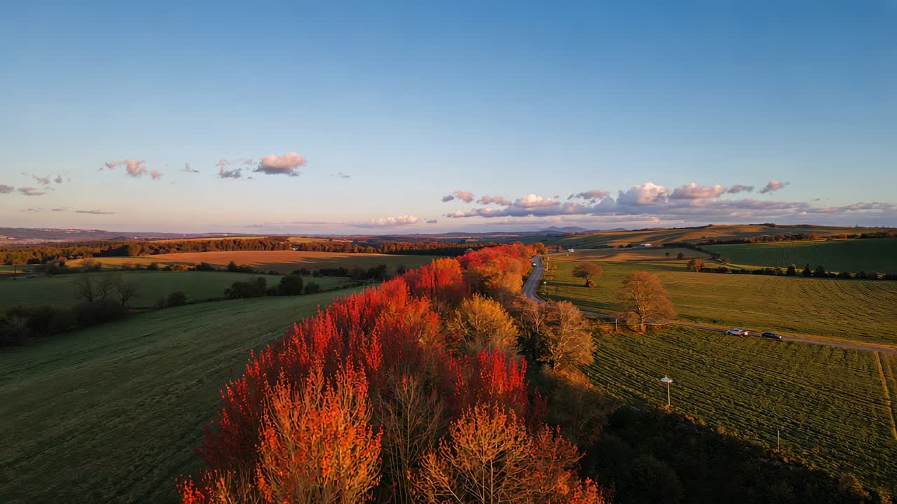 Tracking drone starting forward flight over rural farms to reveal red tree row and curving road