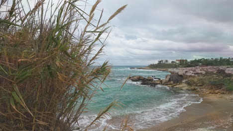 Küstenszene-Mit-Hohen-Gräsern-Im-Vordergrund-Mit-Blick-Auf-Einen-Abgeschiedenen-Strand-Mit-Türkisfarbenem-Wasser-Und-Felsiger-Küste-Unter-Einem-Bewölkten-Himmel,-Wahrscheinlich-Auf-Zypern-–-Zeitlupe