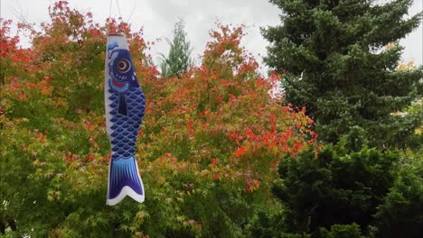 Japanische-Koi-Carb-Windsocke,-Die-Bei-Regen-Im-Wind-Weht