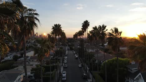 Calle-Bordeada-De-Palmeras-Y-Vista-Del-Horizonte-De-La-Ciudad