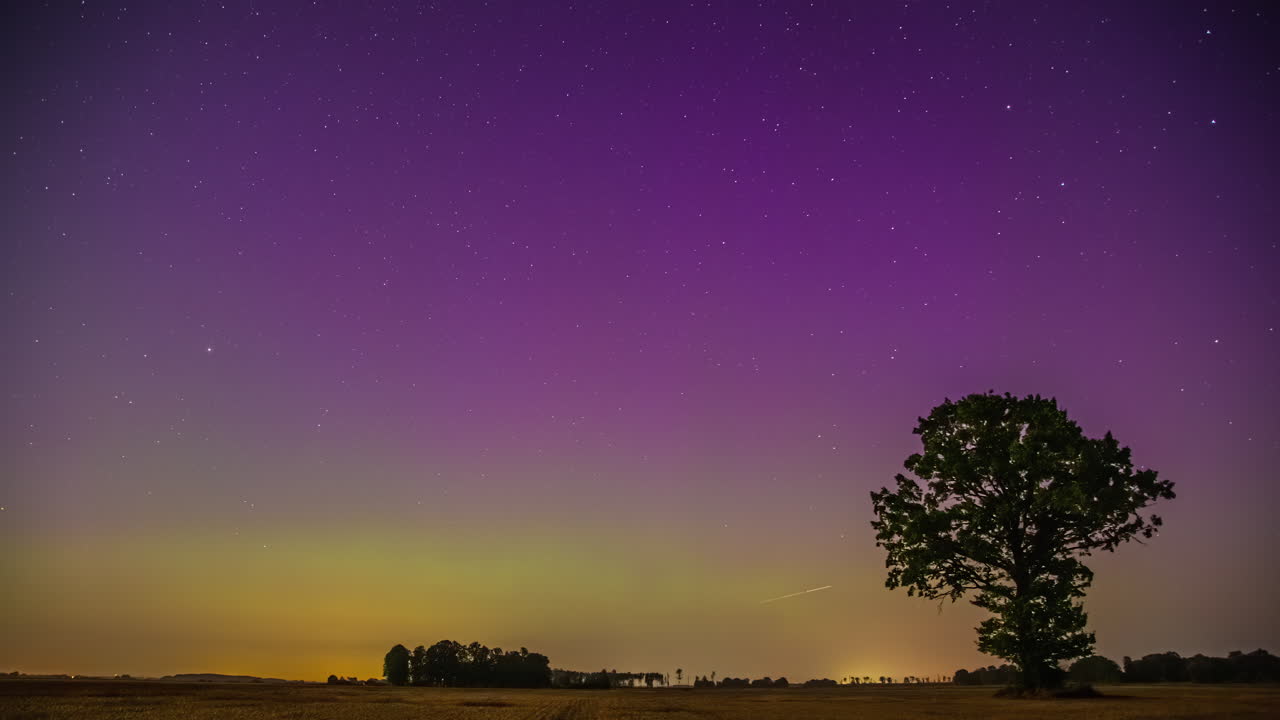 나무 위의 파란색 녹색 분홍색 노란색 하늘에서 떨어지는 별과 오로라의 놀라운 밤