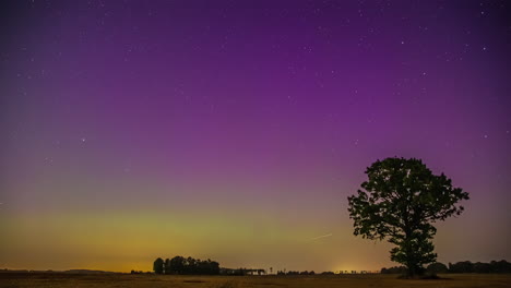 Amazing-nightlapse-of-shooting-stars-and-aurora-blue-green-pink-yellow-sky-above-tree