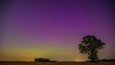 Asombroso-Lapso-Nocturno-De-Estrellas-Fugaces-Y-Aurora-Azul-Verde-Rosa-Amarillo-Cielo-Sobre-El-árbol