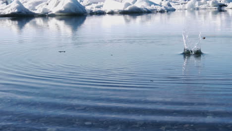 stone skipping on water of beautiful glacial lagoon in iceland with blue sky