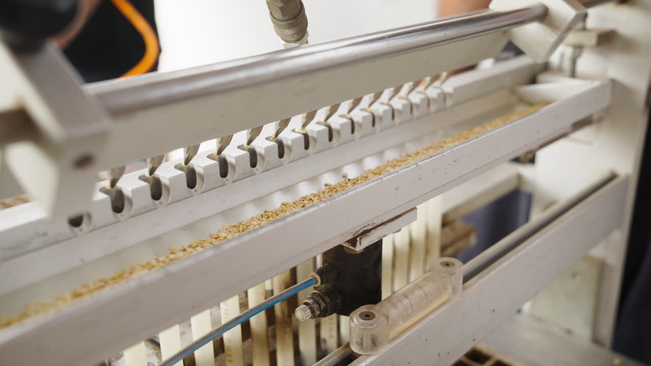 Close-up of a modern automated factory machine processing raw grain seeds along a vibrating production line