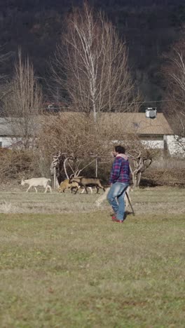 rural scene with person and goats