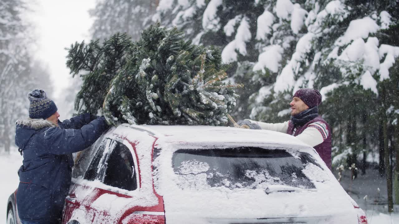 hombre con padre mayor empaquetando árbol de navidad en el coche