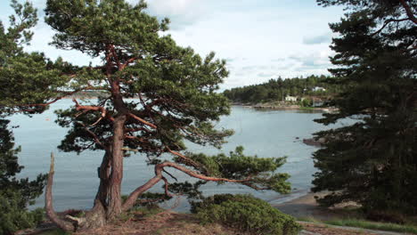 amazing time lapse of a beautiful view to the sea which is visible from the gap of a tree in norway