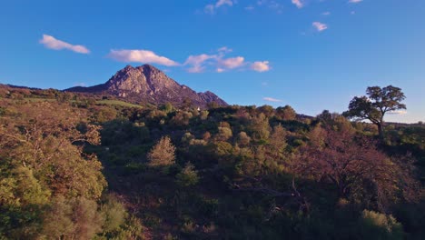 moving left to right on a national park in spain