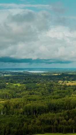 vertical drone shot of storm clouds above forest in verdant countryside