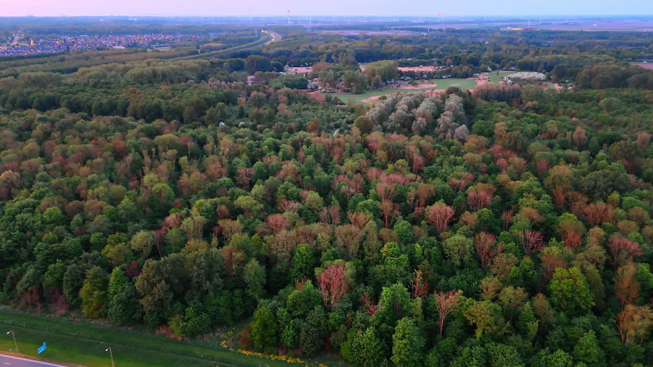 Dutch sunset forest view. Aerial view showcases vibrant autumn colors in a dense forest near a tranquil rural area in the Netherlands at sunset