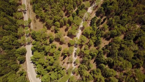 toma superior de un camino forestal en el sur de italia