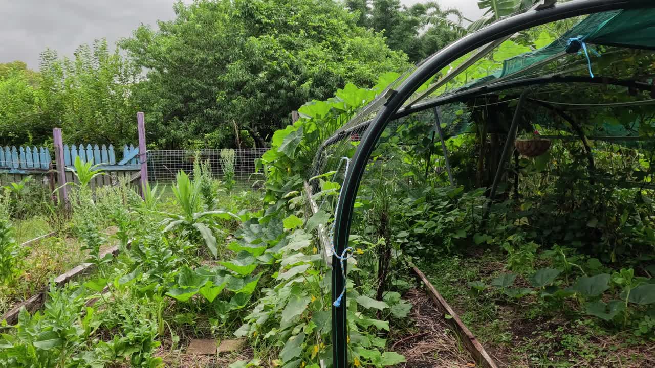 un paseo por un camino de jardín exuberante a lo largo del tiempo