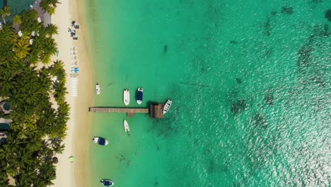 Luxus-Tropischer-Strand-Auf-Mauritius