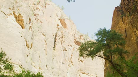 Pan-down-shot-starting-in-the-rocky-mountains-then-panning-down-to-reveal-a-beautiful-stream-or-river-with-rocks-pooling-at-the-bottom