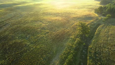 toma aérea sobre un prado nublado con rayos de sol dorados al amanecer