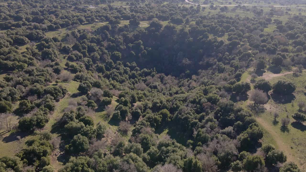 Ripresa con drone che si avvicina a un cratere vulcanico ricoperto di vegetazione, Big Jupta, Israele.