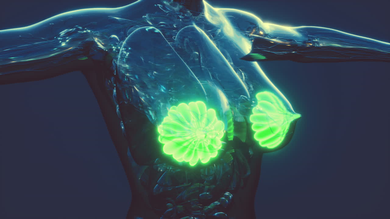 빛나는 유방선과 함께 인간 몸의 과학 해부학