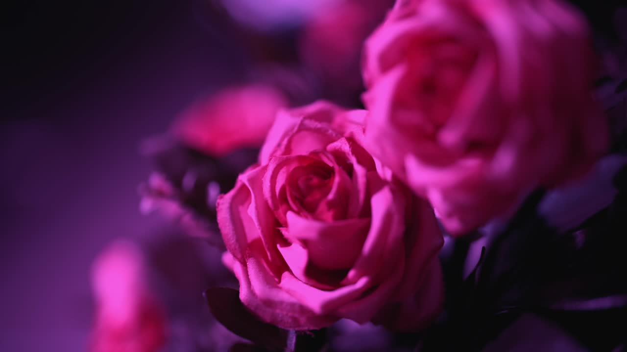 Decorazione floreale con rose rosa romantiche illuminate da una soffusa e suggestiva illuminazione per eventi.