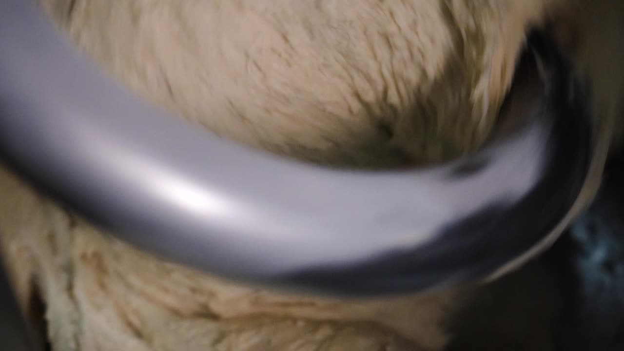 mezclar la masa en un mezclador de cocina