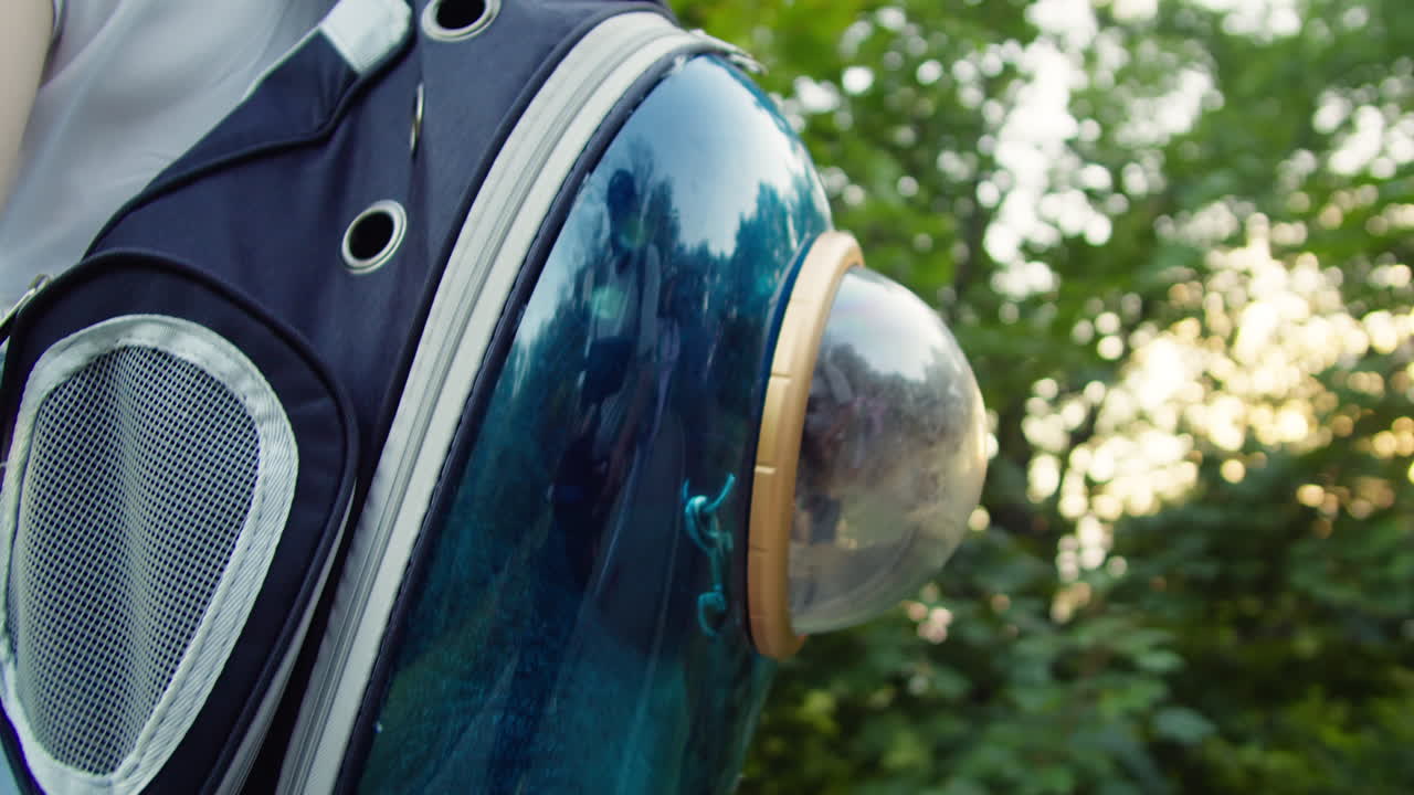 Woman owner with her cat in the animal carrier walking in the park close-up. Kitten in pet carrier