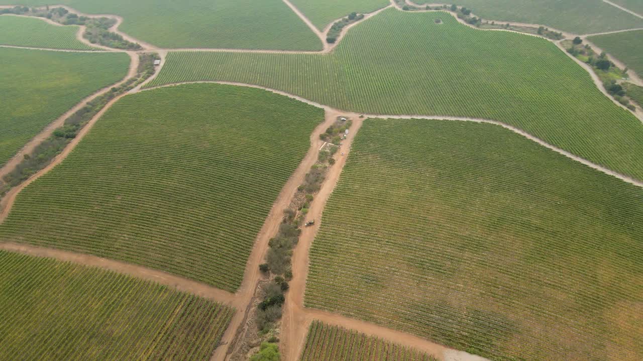 giro aéreo de las secciones de un viñedo en el valle de leyda, chile
