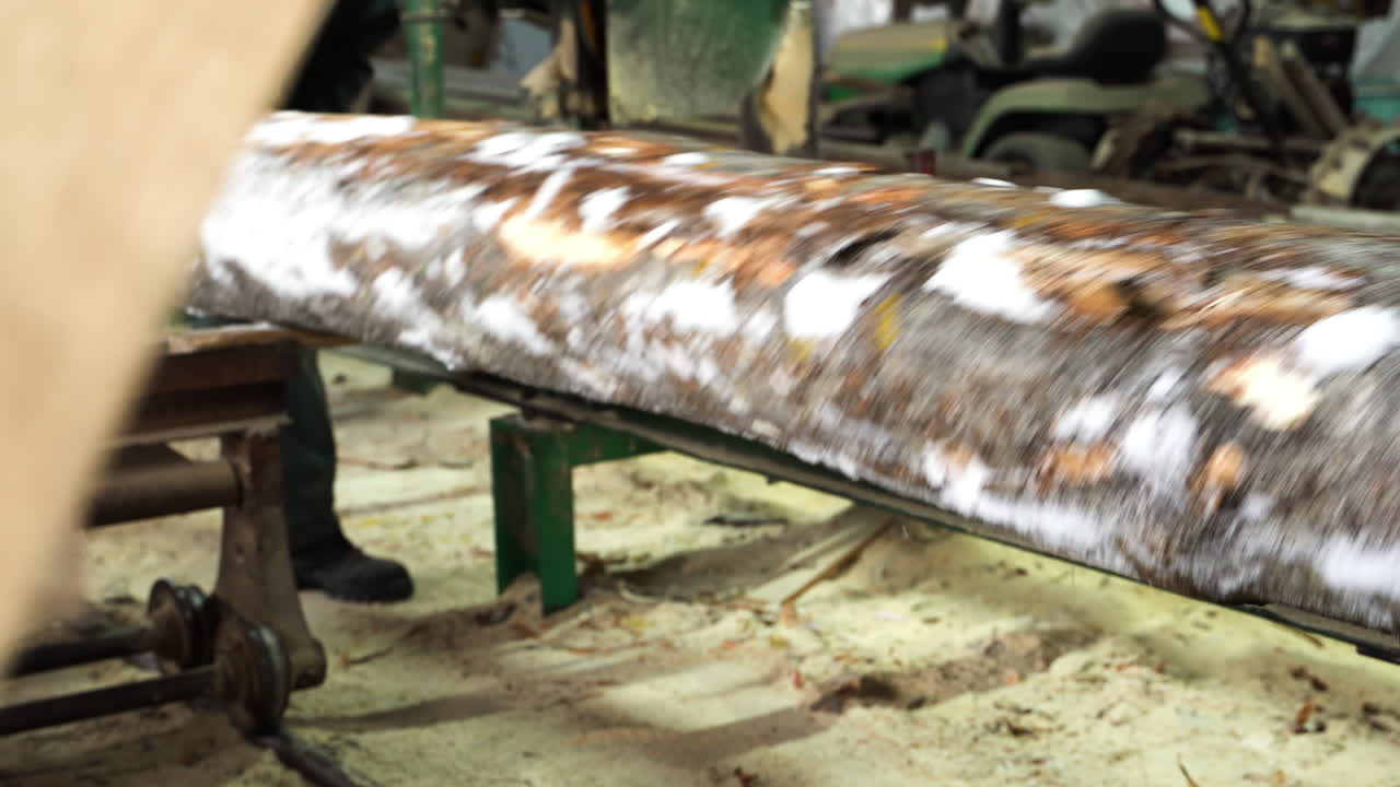 제재소의 목공 공정, 고정 띠톱의 롤링 로그