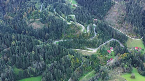Picturesque-meandering-road-along-pristine-forest