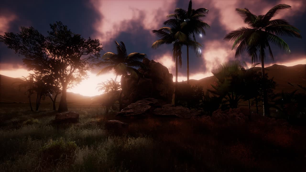 Aerial Green Hills Landscape in Fog