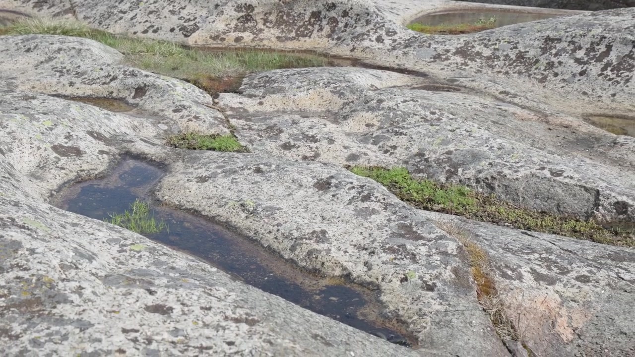 Superficie di roccia granitica erosa con piccole pozze d'acqua stagnante formatesi in depressioni naturali. Ciuffi d'erba verde crescono dalle fessure della roccia attorno ai bordi di laghetti alpini scuri.