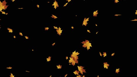 falling autumn leaves