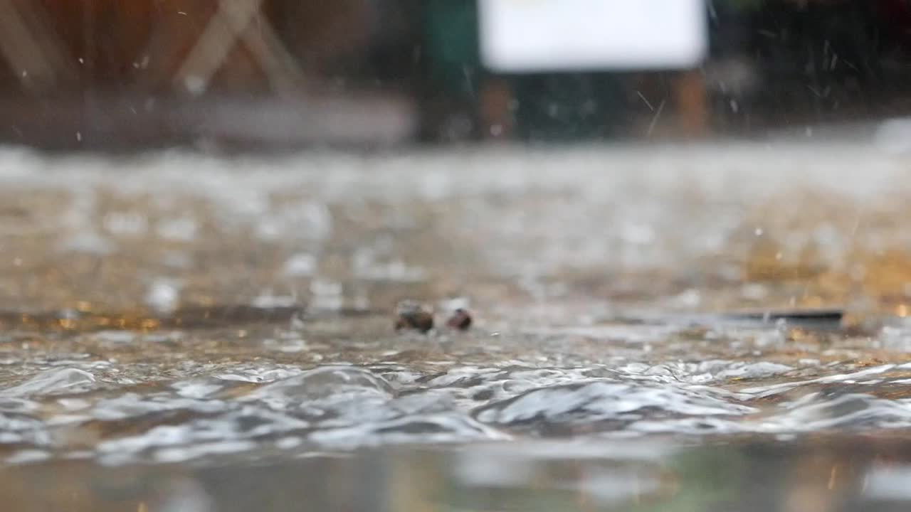 Rain Drops on Wet Ground