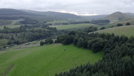 a scottish farmer checks driving a 4 wheel drive goes up into the hills to check their stock on a hazy summer day