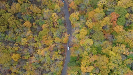 birdseye aerial view of white suv vehicle on road in rural forest in autumn leaf colors, high angle drone shot