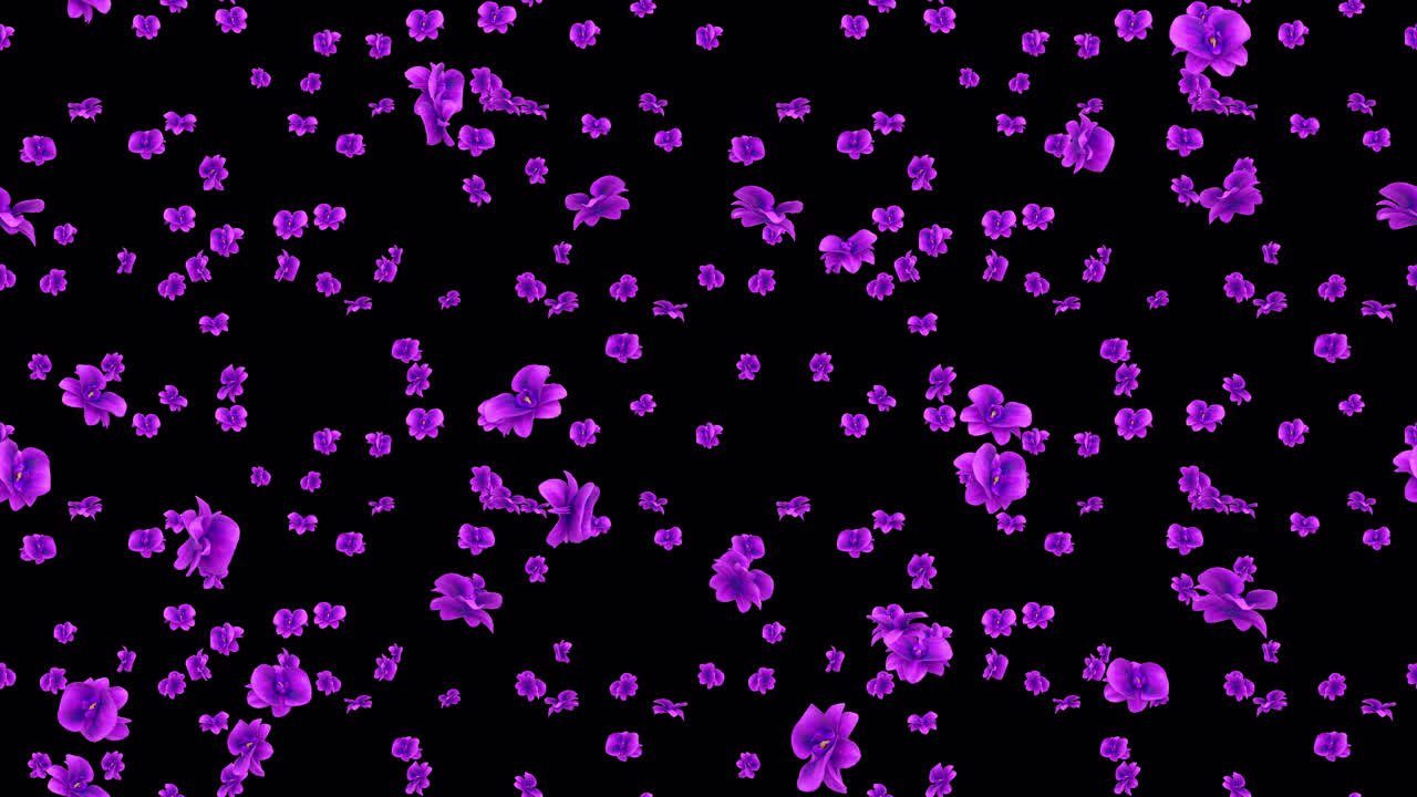 오키디 루프 타일 보라색은 알파와 함께 떨어집니다.