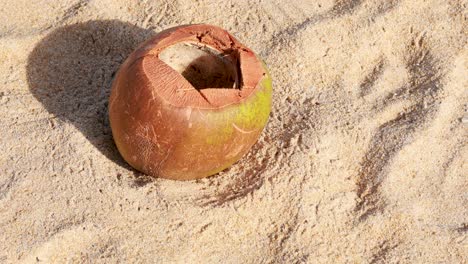 A coconut rests on a sunlit sandy beach in Phuket, Thailand, casting a shadow in the bright afternoon light