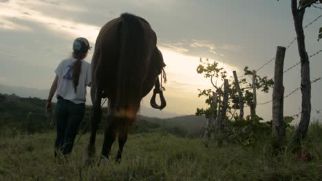 female rider pulling a horse in a backlight sunset