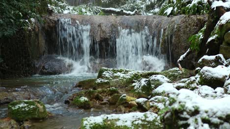 relaxing-snowy-mountain-stream-scenario,-green-leaves-covered-by-snow,-steady-shot